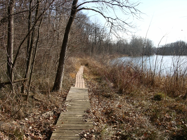 Trail along the edge of Crooked Lake