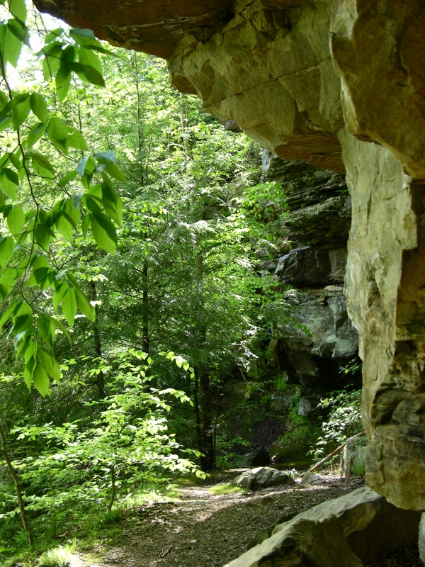 Rock overhang at Green's Bluff
