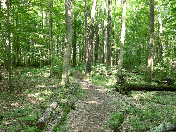 Wood Duck Trail
