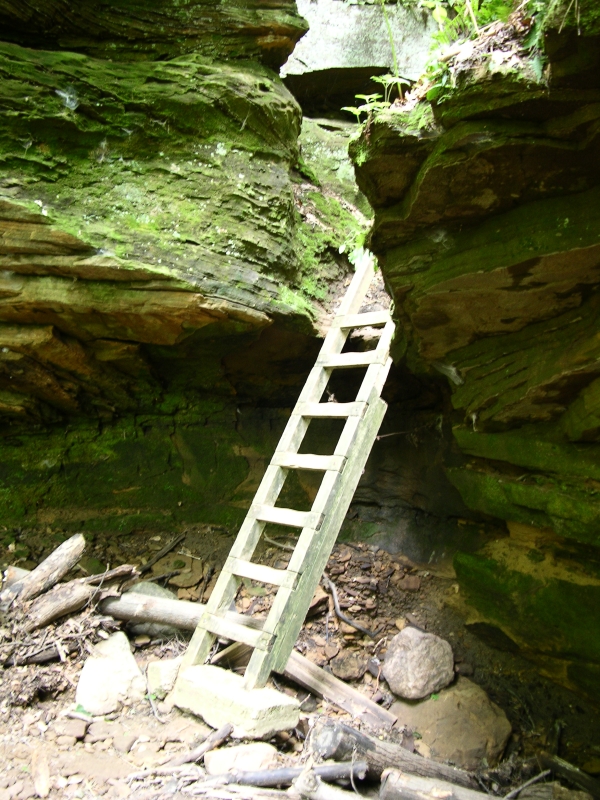 Ladder along trail