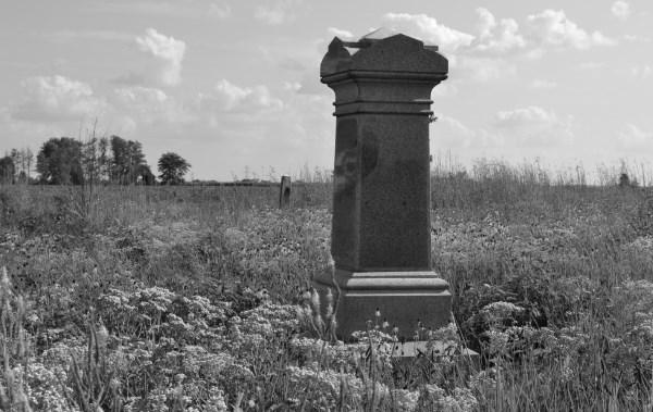 Large tombstone rising above prairie wildflowers