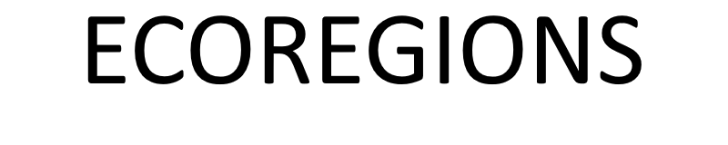 white rectangle with the word Ecoregions written on it in black